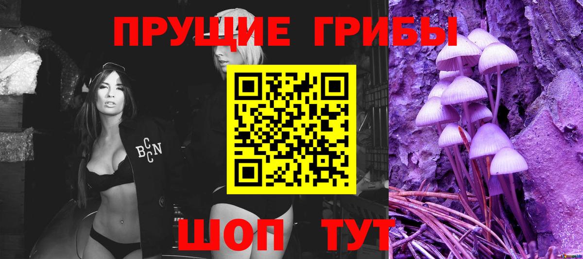Псилоцибиновые грибы GOLDEN TEACHER Кисловодск